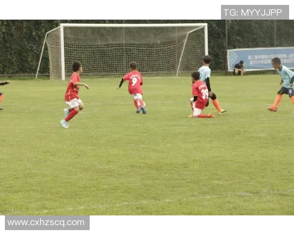 燃情绿茵猜猜乐一起探索世界足球巨星的辉煌与传奇